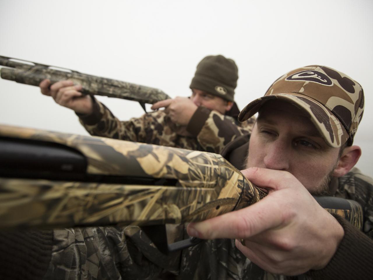Waterfowl