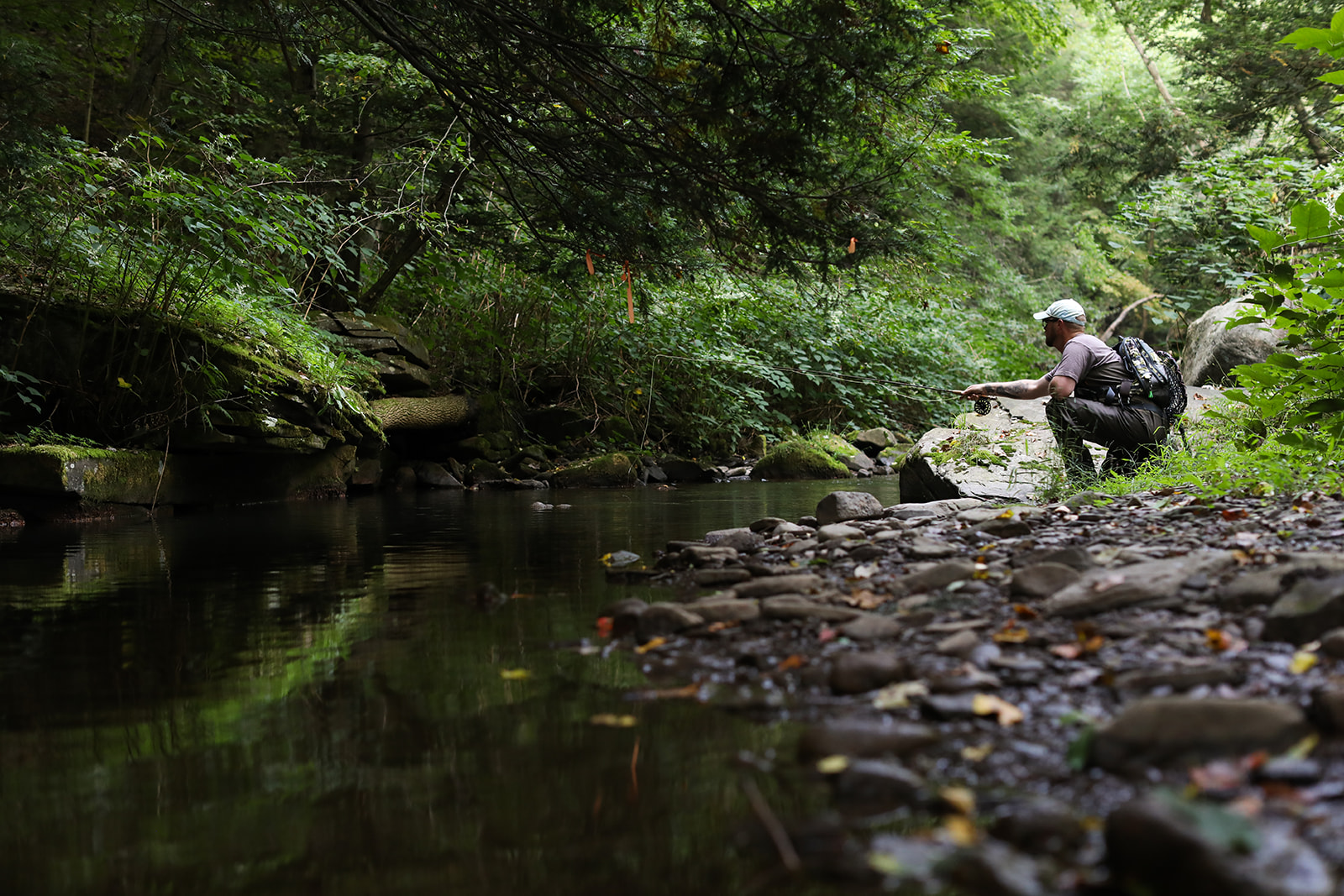 Fly Fishing in the Mountains 