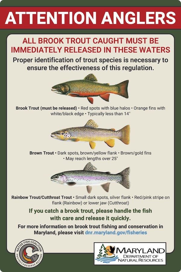 Brook Trout Sign