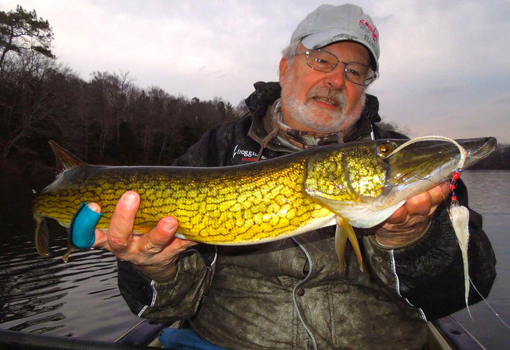 Fly Fishing for Chain Pickerel