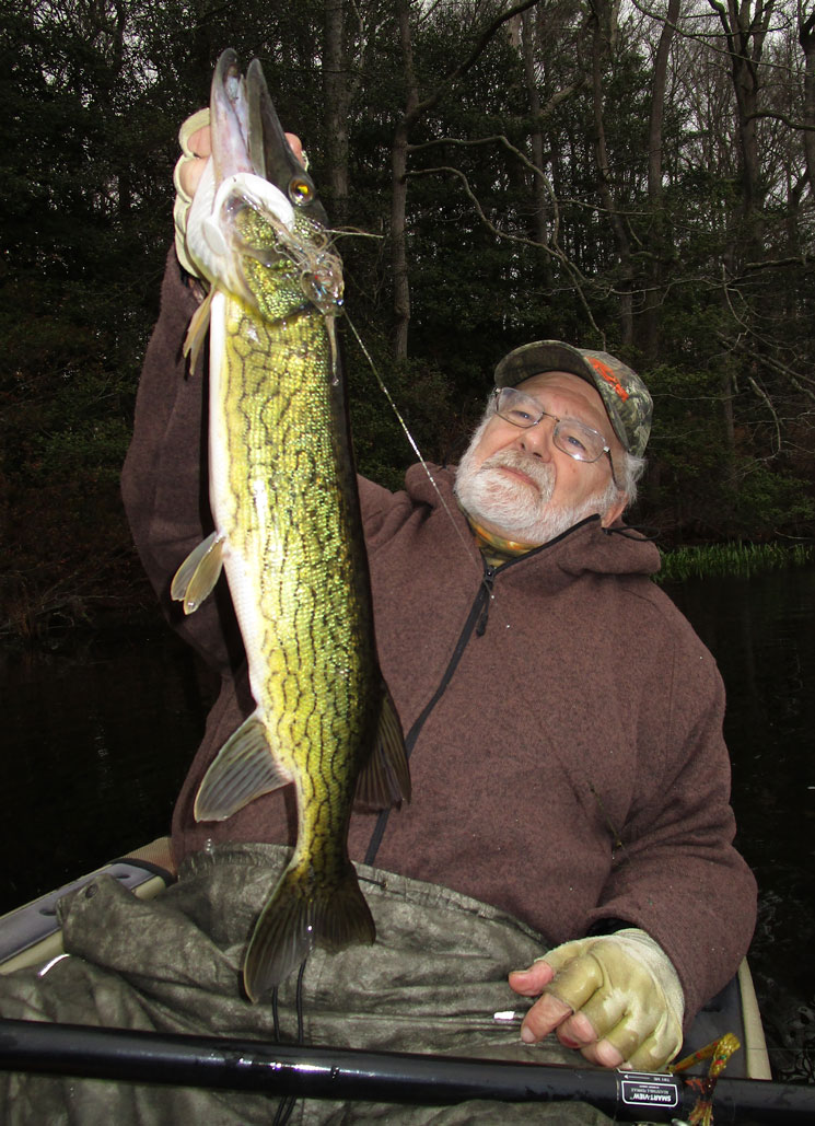 Fly Fishing for Chain Pickerel