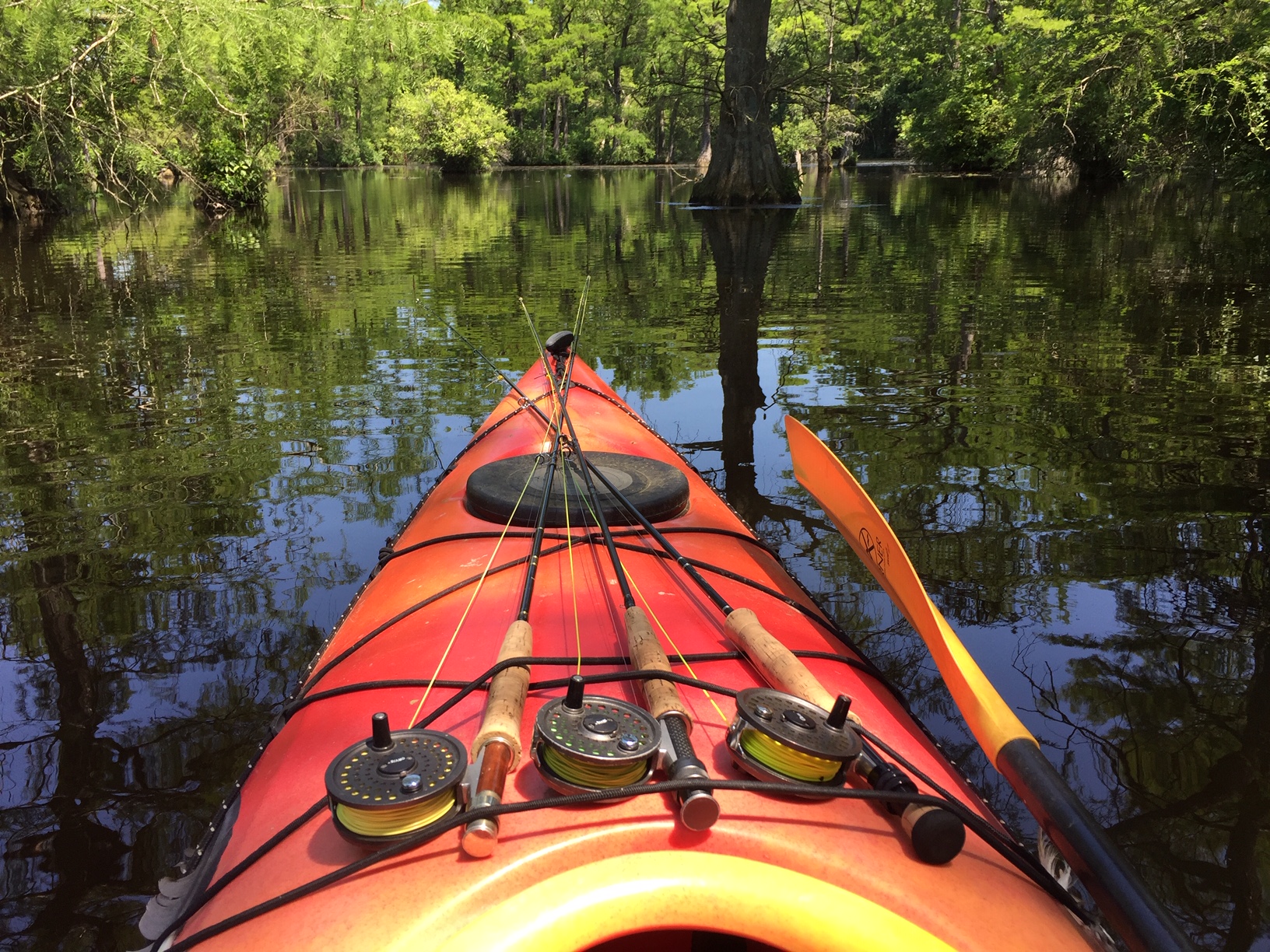 Kayak Fly Rod Holders on Marylands Eastern Shore