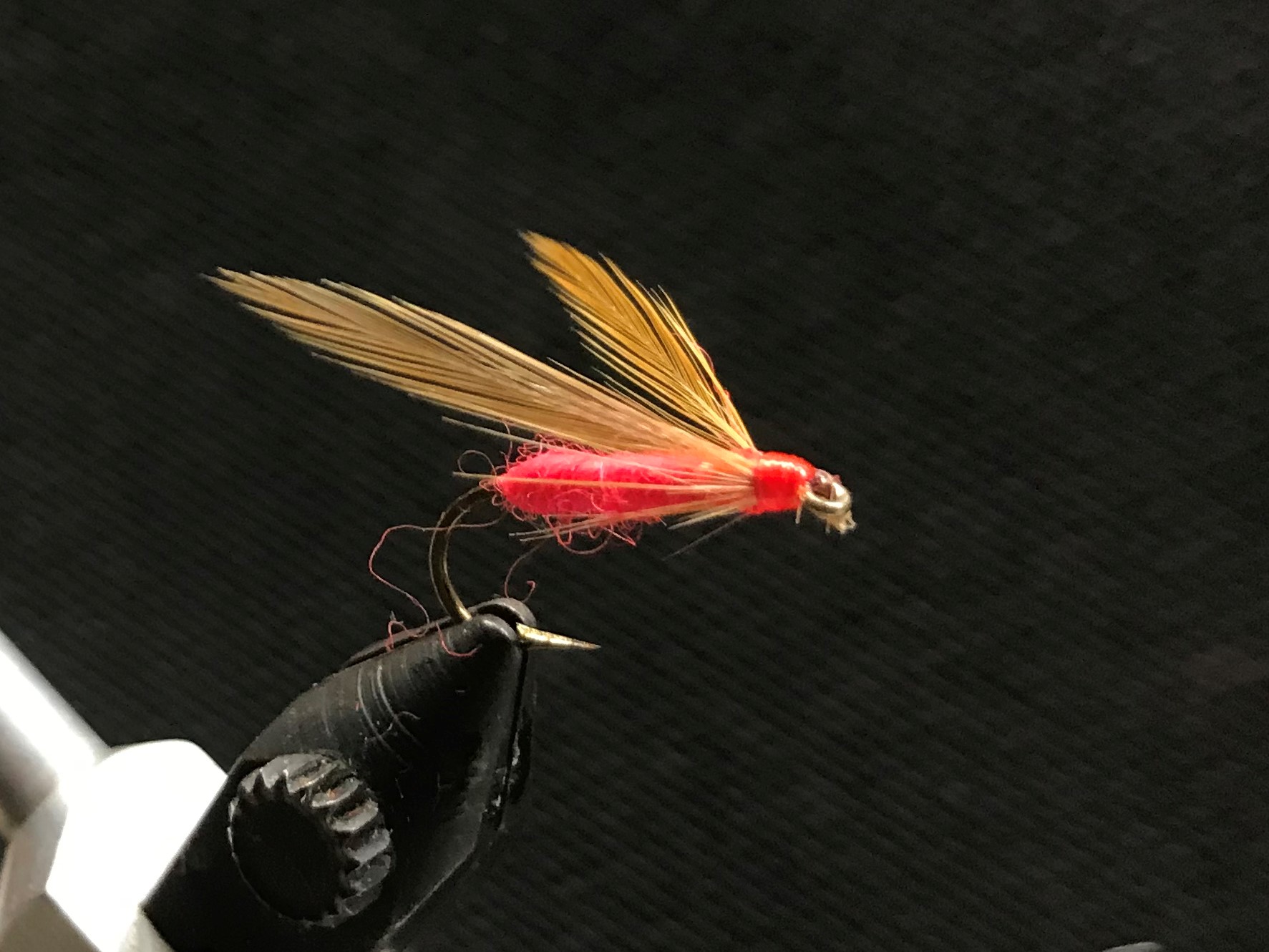 Blog: Step-by-steps for the One Feather Fly  Fly tying patterns, Fly fishing  lures, Trout fishing