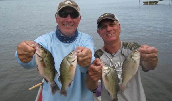 Two fishermen holding white perch