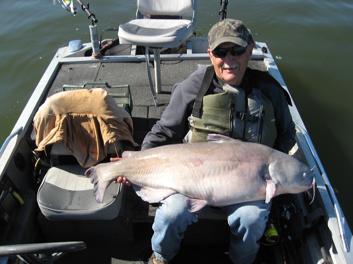 blue catfish reel - Bottom Dwellers Tackle