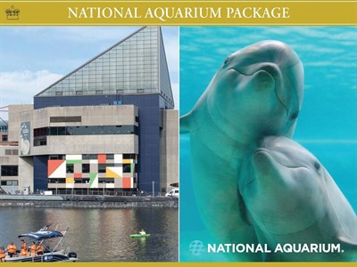 Aquarium Package Photo