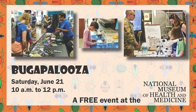 Bugapalooza at the Medical Museum Photo