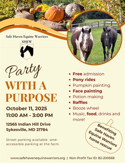 Fall festival fun to be had by all. Come meet our rescue horses and see what we’re all about! Photo