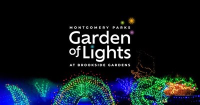 Garden of Lights Photo