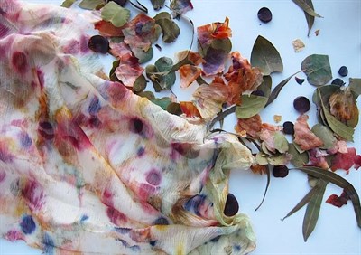 Enjoy a full day of hands-on natural dyeing and creative exploration Photo