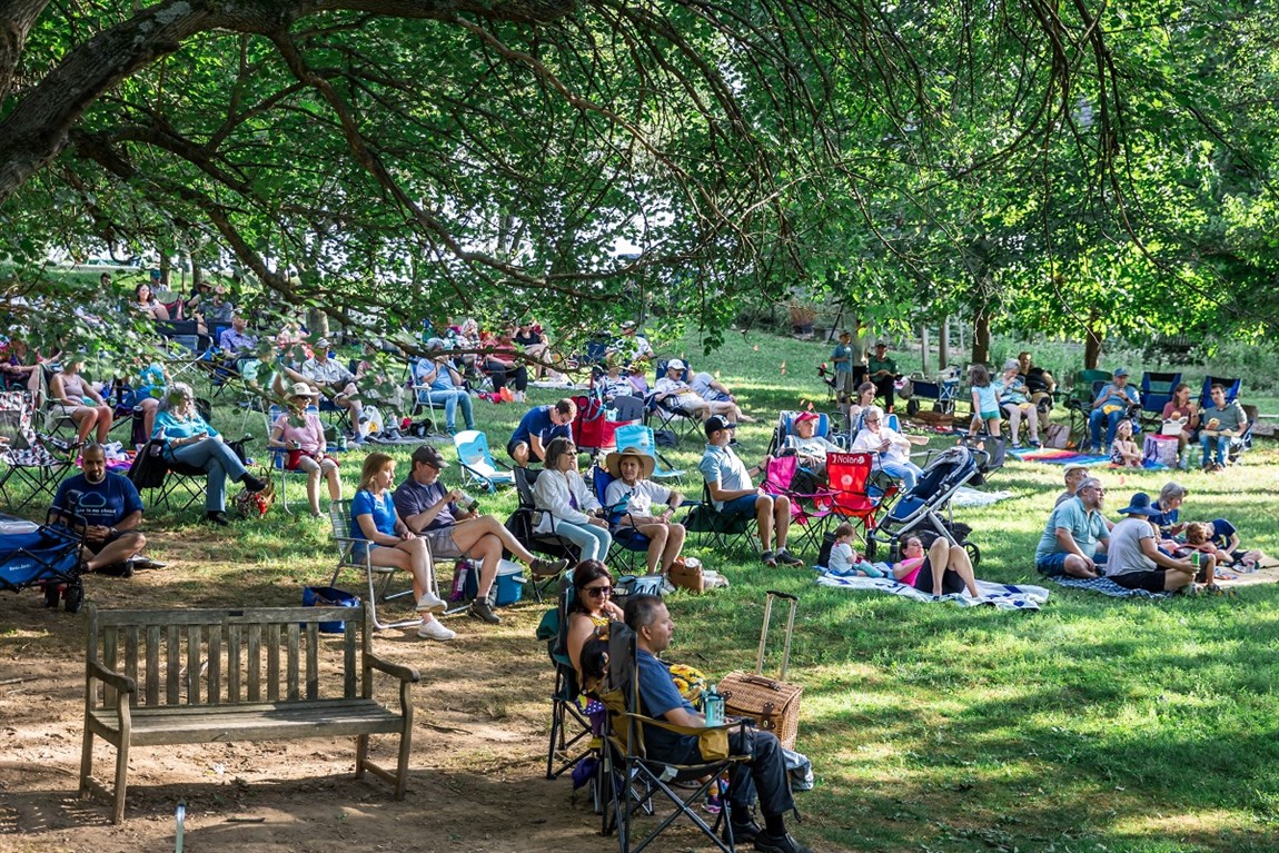 crowds pack a hillside during Fiddlers & Fireflies Photo