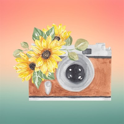 summer smiles Photo