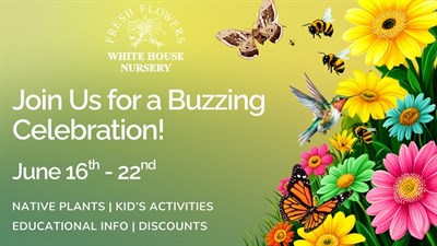 Pollinator Party Photo