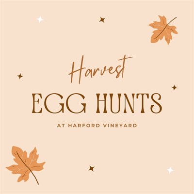 Harvest Hunt Photo