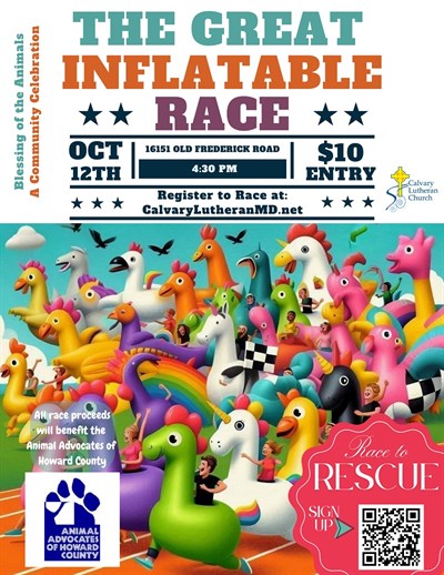 The Great Inflatable Race Photo