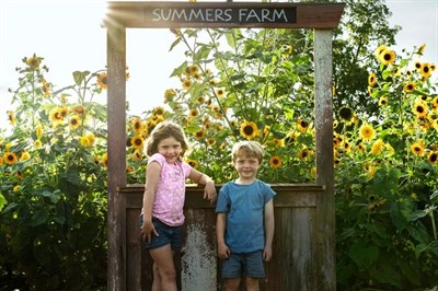 Pose in the flowers Photo