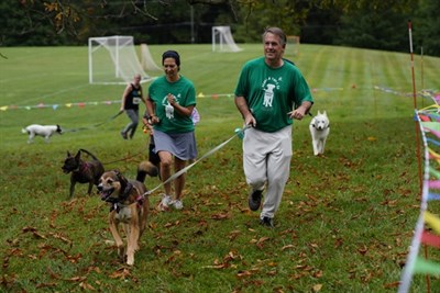 Doggie Dash Photo
