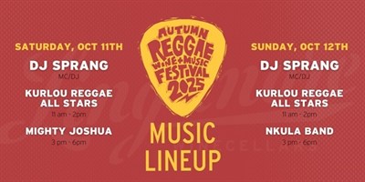 Music Lineup Photo