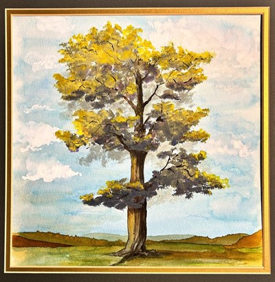 watercolor tree Photo