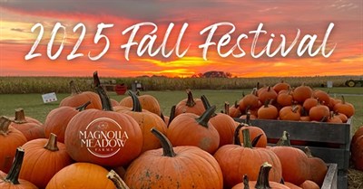 Pumpkins at Magnolia Meadow Farms Photo
