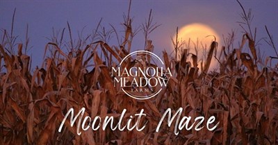 Moonlit corn maze at Magnolia Meadow Farms Photo