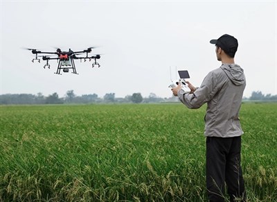 Drone Photo
