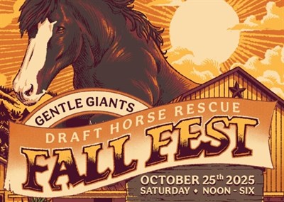 Enjoy a Fall Festival and benefit for Gentle Giants Draft Horse Rescue with live music, archery, foo Photo