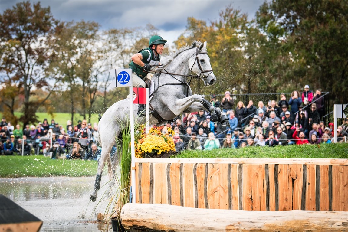 horse and rider jumping Photo