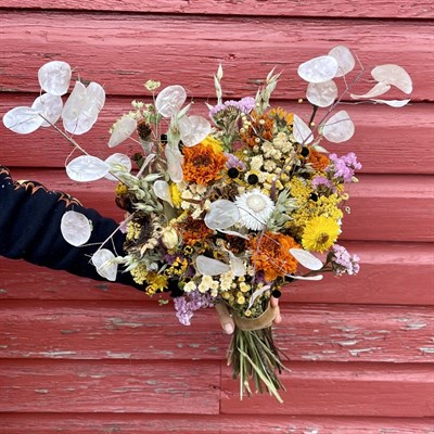 Dried Flowers Photo