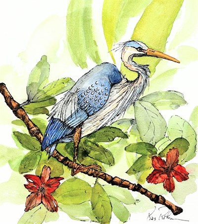 Heron study Photo