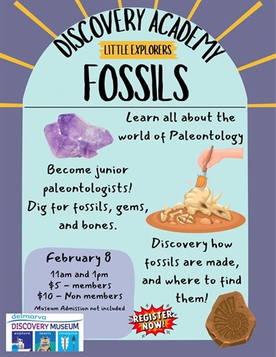 image of a purple crystal, a cartoonish hand dusting for fossils, and of two fossils. Photo