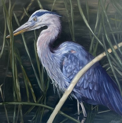 "Steady" by Megan Drumm Photo