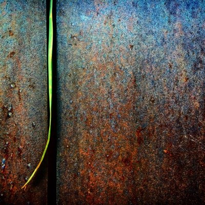 HighLine - macrophotography Photo