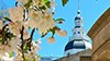Annapolis State House Photo