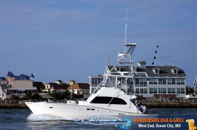 Last Call Charters Photo