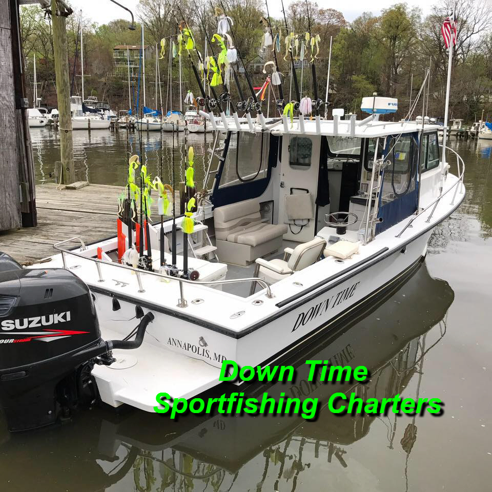 Down Time sportsfishing Charters Photo