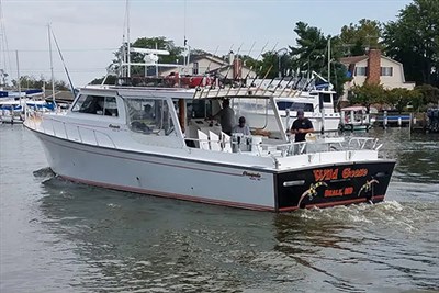 Wild Goose Charters Photo