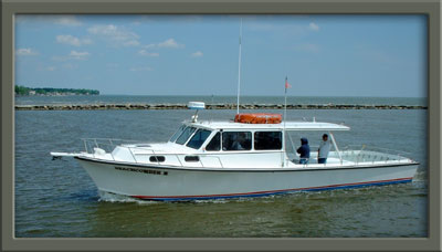 &quot;Beachcomber II&quot; Photo