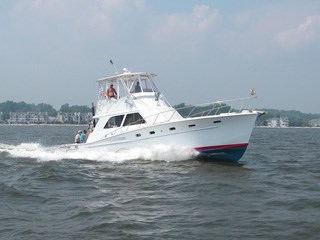 Miss Demeanor. Photo