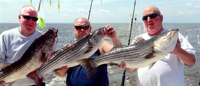 misty charters Photo