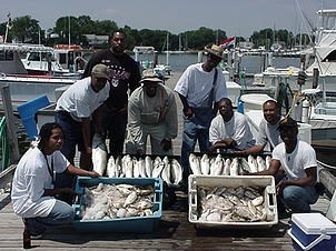 Catches of the day Photo