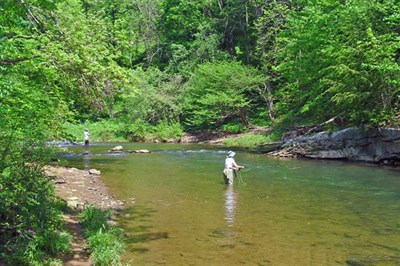 Spring Creek Outfitters Photo