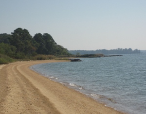 Newtowne Neck State Park Photo