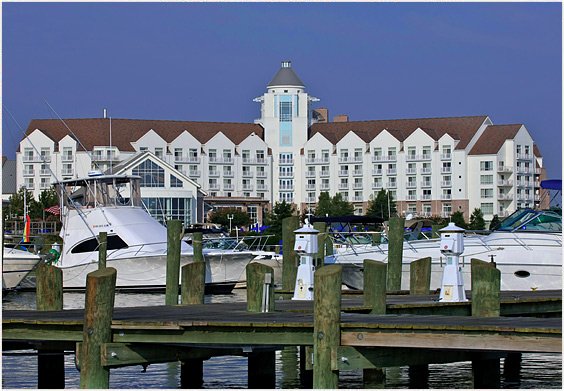 River Marsh Marina at the Hyatt Regency Photo