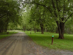 Spring Gap Recreation Area Photo