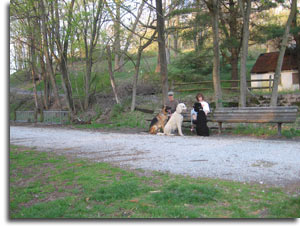 Gunpowder Falls State Park: Torrey C. Brown Rail Trail Photo