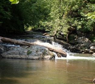 Gunpowder Falls State Park Photo