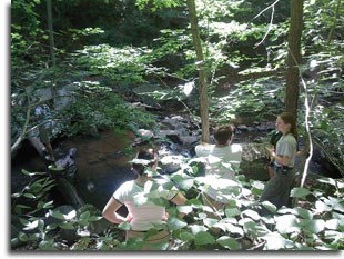 Gunpowder Falls State Park: Central Area (interpreter talking) Photo