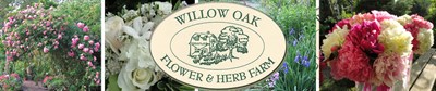 Willow Oak Flower &amp; Herb Farm Photo