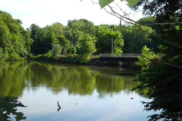 Lake Roland Park Photo